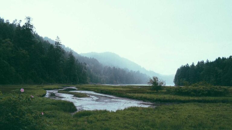 Why Does The Screen Say “Welcome To 99Exch Login”?